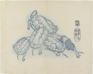 (Tortues), c. 1830